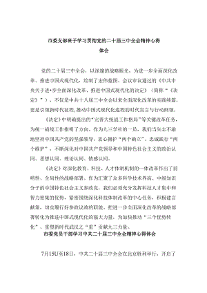 市委支部班子学习贯彻党的二十届三中全会精神心得体会8篇（精选）.docx
