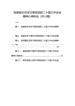 检察部主任学习贯彻党的二十届三中全会精神心得体会（共12篇选择）.docx