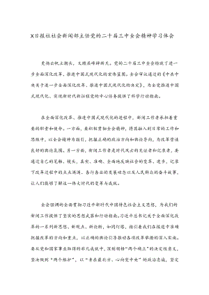 X日报社社会新闻部主任党的二十届三中全会精神学习体会.docx