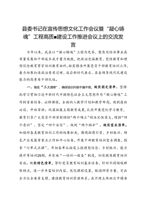 县委书记在宣传思想文化工作会议暨“凝心铸魂”工程高质量建设工作推进会议上的交流发言.docx