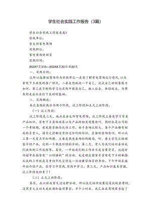 学生社会实践工作报告（3篇）.docx