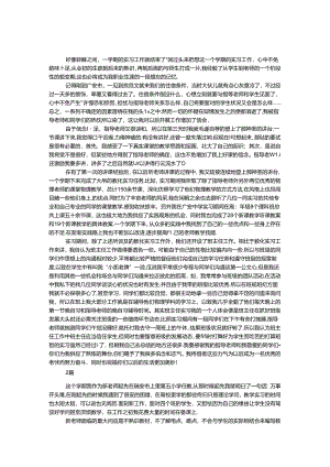 学期实习工作总结 2篇.docx
