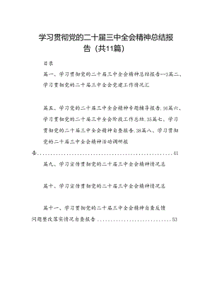 （11篇）学习贯彻党的二十届三中全会精神总结报告（精选）.docx