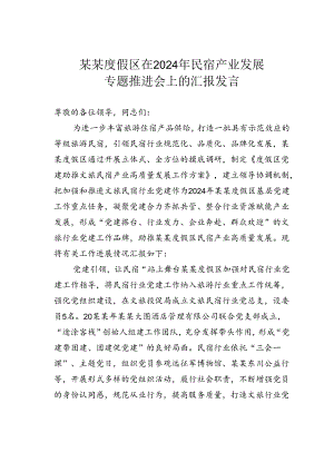 某某度假区在2024年民宿产业发展专题推进会上的汇报发言.docx
