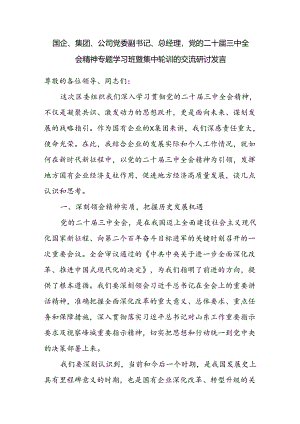 国企集团公司党委副书记总经理在党的二十届三中全会精神专题学习班暨集中轮训的交流研讨发言.docx