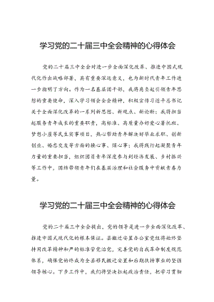 党员学习党的二十届三中全会精神的心得感悟交流体会33篇.docx