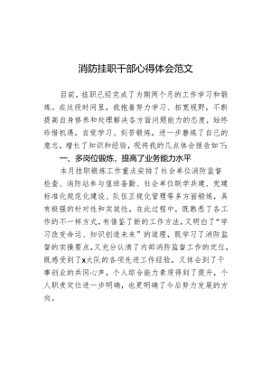 消防挂职干部心得体会发言材料.docx