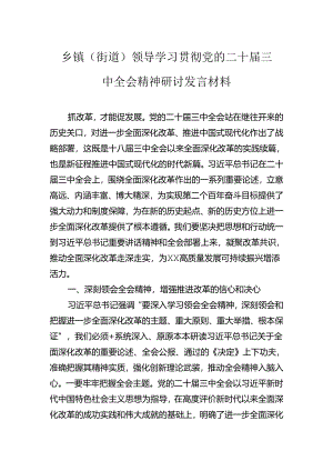 乡镇（街道）领导学习贯彻党的二十届三中全会精神研讨发言材料.docx