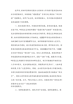 某村党建引领乡村振兴经验做法.docx
