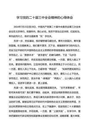 2024年学习二十届三中全会精神心得体会13篇.docx