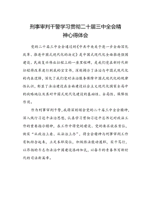 刑事审判干警学习贯彻二十届三中全会精神心得体会.docx