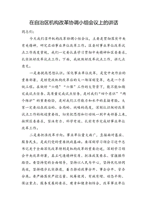 在自治区机构改革协调小组会议上的讲话.docx