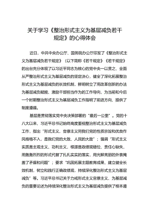 5篇《整治形式主义为基层减负若干规定》学习体会.docx
