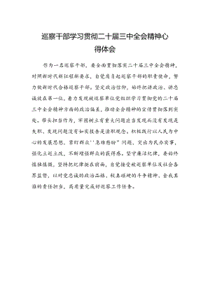 巡察干部学习贯彻二十届三中全会精神心得体会范文.docx