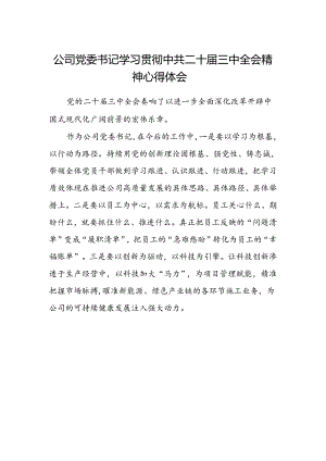 公司党委书记学习贯彻中共二十届三中全会精神心得体会范文.docx
