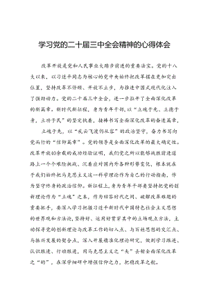 学习贯彻党的二十届三中全会精神的心得体会简短交流发言材料最新版33篇.docx