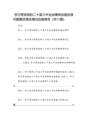 （11篇）学习贯彻党的二十届三中全会精神自查反馈问题整改落实情况自查报告范文.docx
