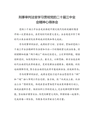 刑事审判法官学习贯彻党的二十届三中全会精神心得体会.docx