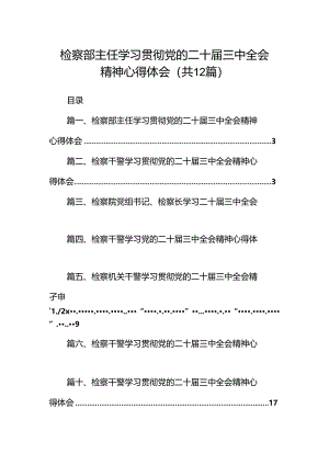 检察部主任学习贯彻党的二十届三中全会精神心得体会12篇（精选）.docx
