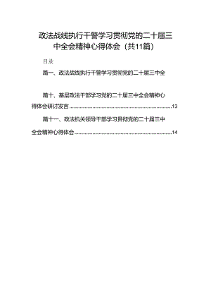 （11篇）政法战线执行干警学习贯彻党的二十届三中全会精神心得体会范文.docx