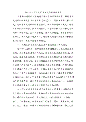 健全全过程人民民主制度体系体会发言.docx