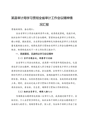 某县审计局学习贯彻全省审计工作会议精神情况汇报.docx