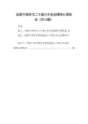 巡察干部学习二十届三中全会精神心得体会【12篇】.docx