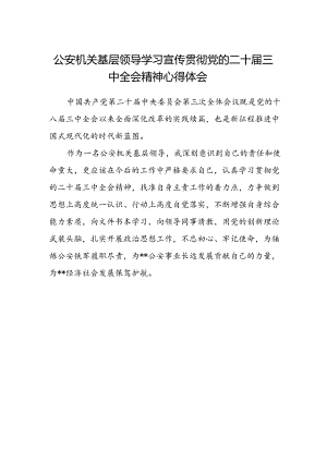 公安机关基层领导学习宣传贯彻党的二十届三中全会精神心得体会.docx