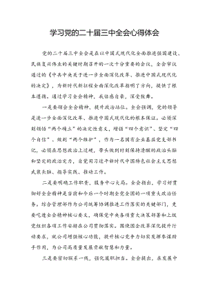 学习2024年学习党的二十届三中全会个人心得感悟 （4份）_78.docx