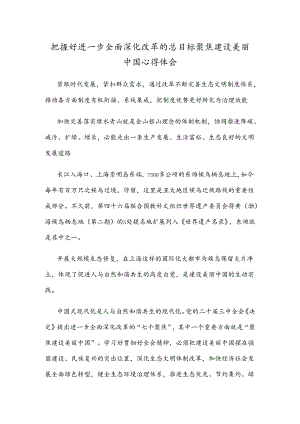 把握好进一步全面深化改革的总目标聚焦建设美丽中国心得体会.docx