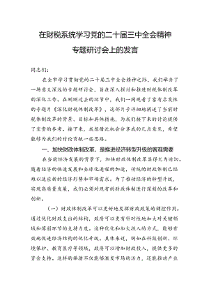 在财税系统学习党的二十届三中全会精神专题研讨会上的发言.docx