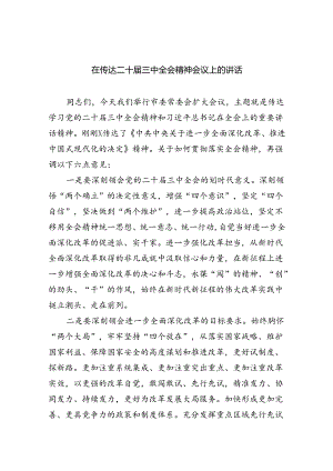（8篇）在传达二十届三中全会精神会议上的讲话（最新版）.docx
