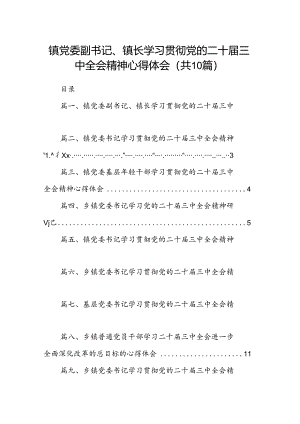 （10篇）镇党委副书记、镇长学习贯彻党的二十届三中全会精神心得体会（精选）.docx