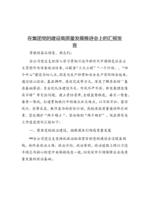 在集团党的建设高质量发展推进会上的汇报发言.docx