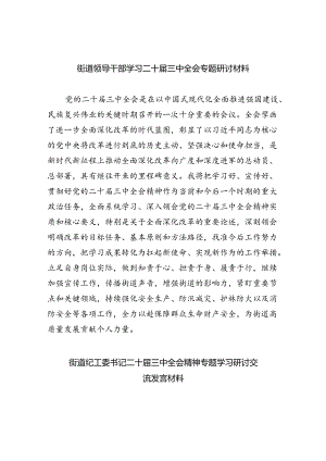 街道领导干部学习二十届三中全会专题研讨材料5篇（详细版）.docx