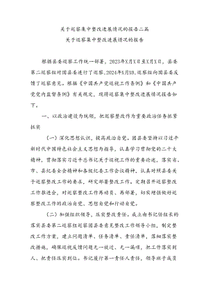 关于巡察集中整改进展情况的报告二篇.docx