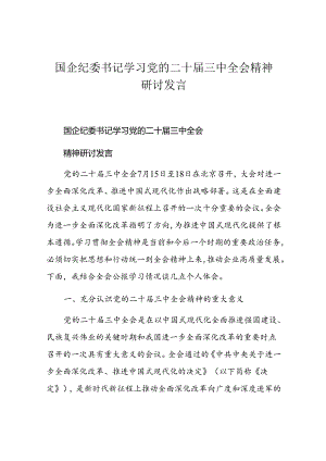 国企纪委书记学习党的二十届三中全会精神研讨发言.docx