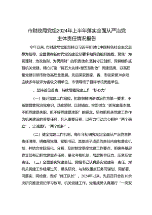 市财政局党组2024年上半年落实全面从严治党主体责任情况报告.docx
