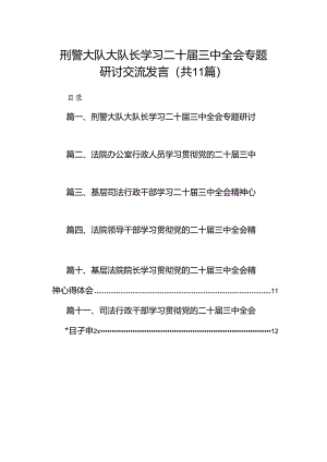 （11篇）刑警大队大队长学习二十届三中全会专题研讨交流发言范文.docx