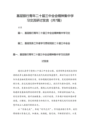 基层银行青年二十届三中全会精神集中学习交流研讨发言（共7篇）.docx