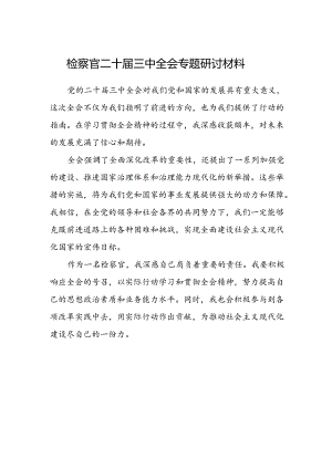 检察官二十届三中全会专题研讨材料.docx
