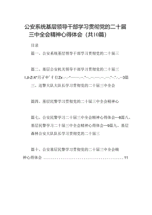 （10篇）公安系统基层领导干部学习贯彻党的二十届三中全会精神心得体会范文.docx