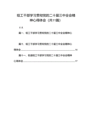 （11篇）组工干部学习贯彻党的二十届三中全会精神心得体会范文.docx