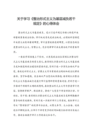 学习贯彻《整治形式主义为基层减负若干规定》心得体会10篇.docx