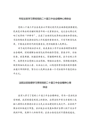 2024年轻法官学习贯彻党的二十届三中全会精神心得体会（共8篇）.docx