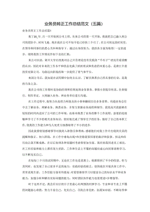 业务员转正工作总结范文（五篇）.docx