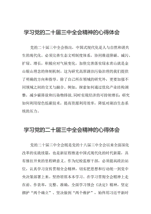 2024年党的二十届三中全会精神学习体会精选合集三十篇.docx