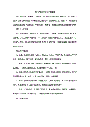 葱兰的养殖方法和注意事项.docx