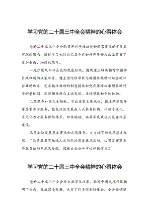 2024年党的二十届三中全会精神学习体会研讨发言材料模板三十篇.docx