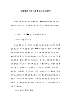巡察整改专题民主生活会会后报告.docx